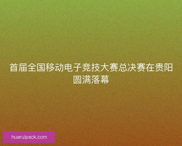 首届全国移动电子竞技大赛总决赛在贵阳圆满落幕